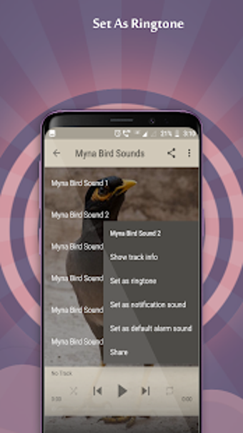 Image 2 for Myna Bird Sounds