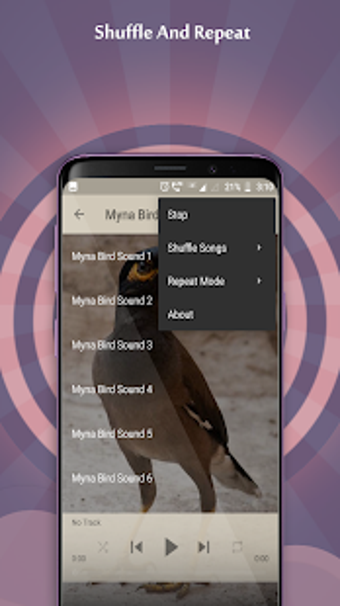 Image 1 for Myna Bird Sounds