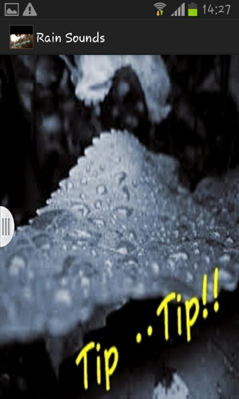 Image 2 for Rain Sounds
