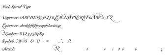 Image 0 for Special Type