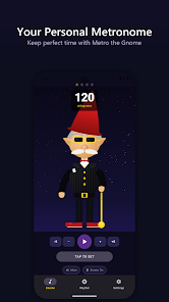 Imagen 0 para Metro Gnome