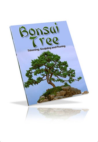 Image 0 for Bonsai Tree - The Art of …