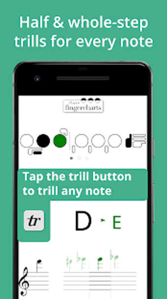 Imagen 3 para Complete Fingerings for t…