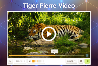Image 0 for Full HD Video Player