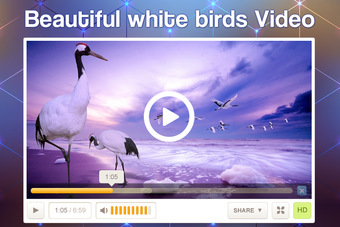 Image 3 for Full HD Video Player