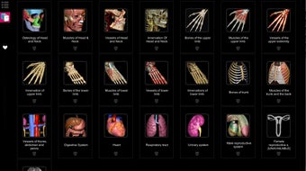 Image 0 for Anatomy Learning - 3D Atl…