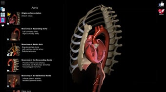 Image 2 for Anatomy Learning - 3D Atl…