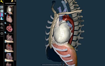 Image 5 for Anatomy Learning - 3D Atl…