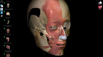 Image 4 for Anatomy Learning - 3D Atl…