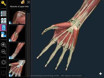 Image 3 for Anatomy Learning - 3D Atl…