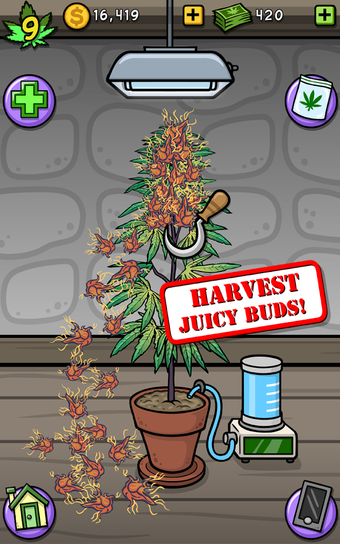 Imagen 1 para Pot Farm - Grass Roots