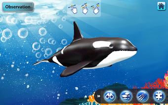 Imagen 2 para ARCOCEAN - ARC OCEAN AR