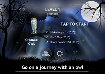Imagen 1 para Owl's Midnight Journey - …