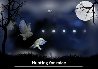Image 1 for Owl's Midnight Journey - …