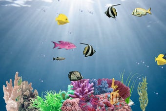 Image 0 for Aquarium Screensaver Pro