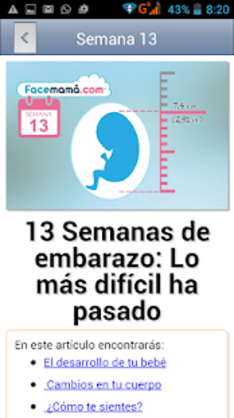 Imagen 2 para Pregnancy Weeks Calculato…