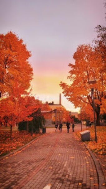 Image 3 for Finland Wallpaper Travel