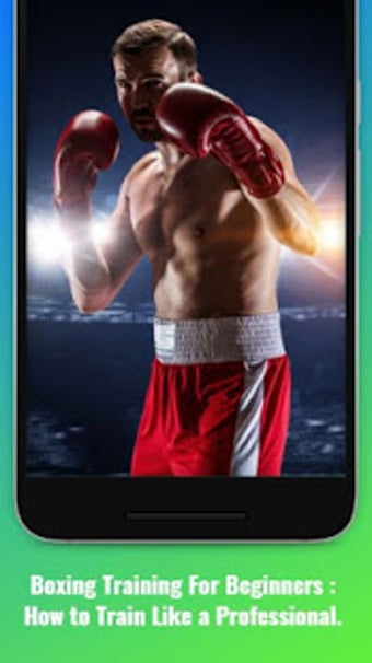 Image 0 for Boxing Training (Guide)