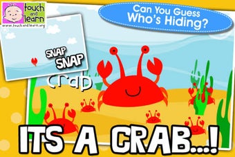 Image 0 for Peekaboo Ocean - Who's Hi…