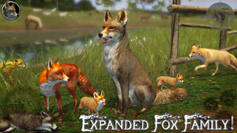 Image 1 for Ultimate Fox Simulator 2