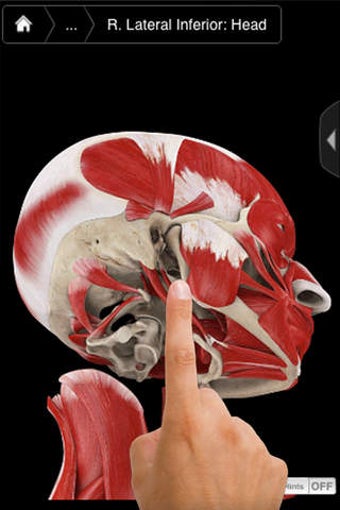 Image 0 for Muscle System Pro III - i…