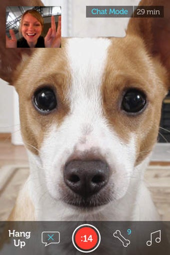 Image 0 for PetChatz