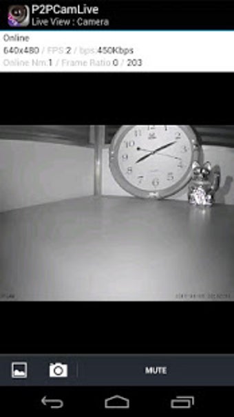 Imagen 0 para P2PCamLive