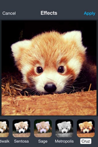 Image 0 for Beauty Shot Camera Pro - …