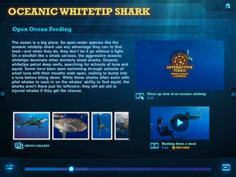 Image 0 for Ultimate Sharks Free