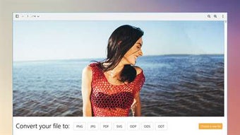 Imagen 1 para PSD Converter Bot for Win…