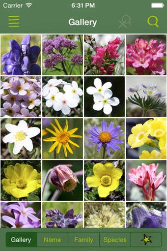 Image 0 for AlpineFlower Finder Europ…