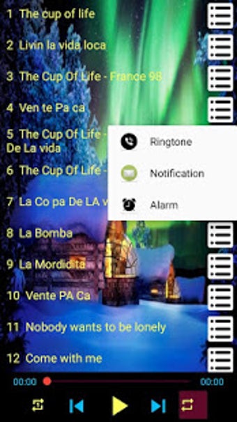 Imagen 0 para Ricky Martin -  Songs OFF…