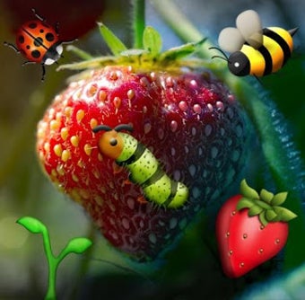 Imagen 0 para Emoji Camera Sticker Make…