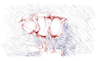 Image 1 for Sketcher Cha