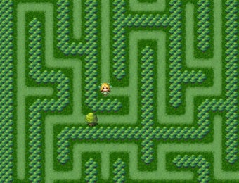 Image 0 for Maze Quest 1: The Forest