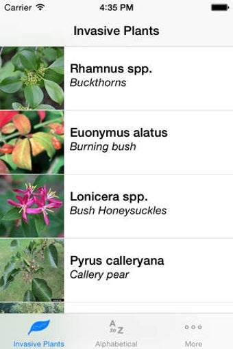 Image 0 for Landscape Alternatives fo…