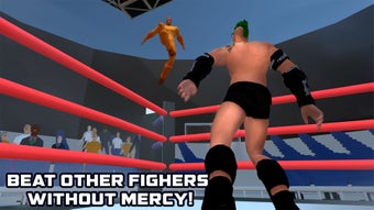 Image 2 for Wrestling Revolution Figh…