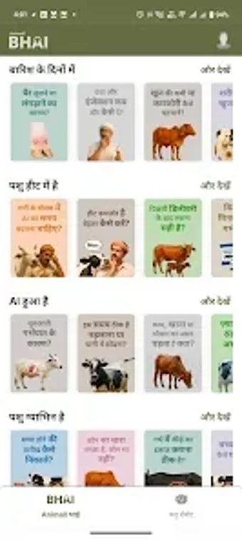 Image 0 for Animall Bhai