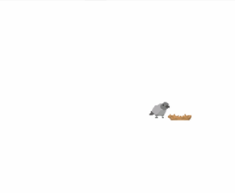 Imagen 0 para Homeless Pigeon