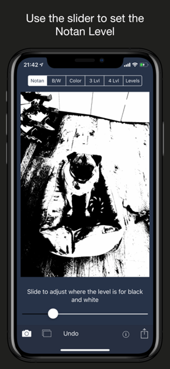 Image 1 for NotanIzer
