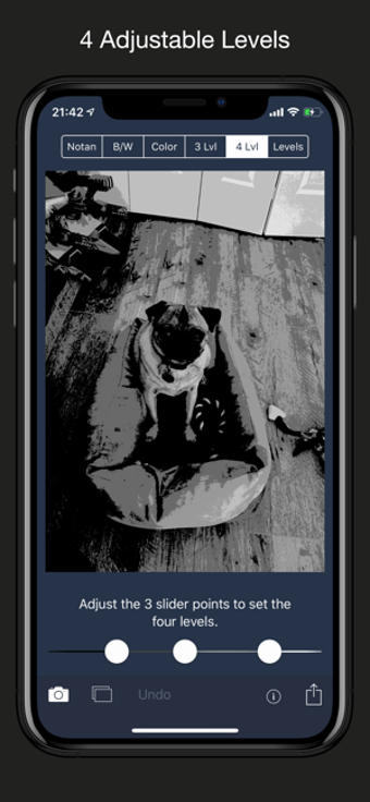 Image 1 for NotanIzer