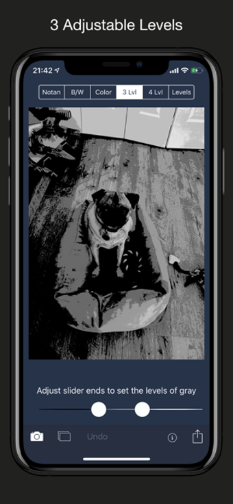 Image 0 for NotanIzer