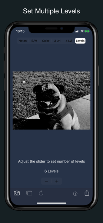 Image 0 for NotanIzer