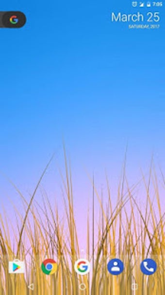 Image 3 for Grass LWP [Revamped+PRO]
