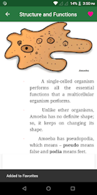 Image 2 for Biology