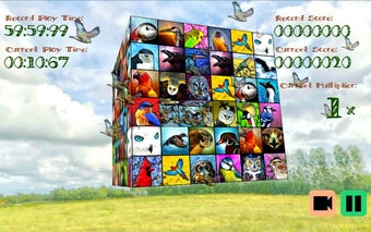 Image 3 for Birdistry