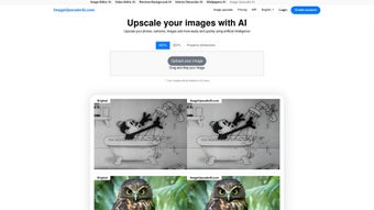 Imagen 0 para ImageUpscalerAi