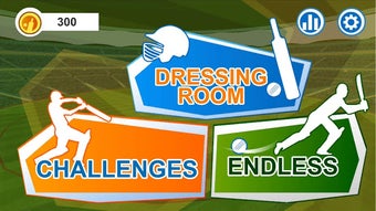Image 2 for Batsman Cricket Game - Cr…