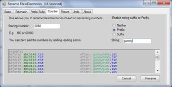 Image 2 for Multi File Directory Rena…