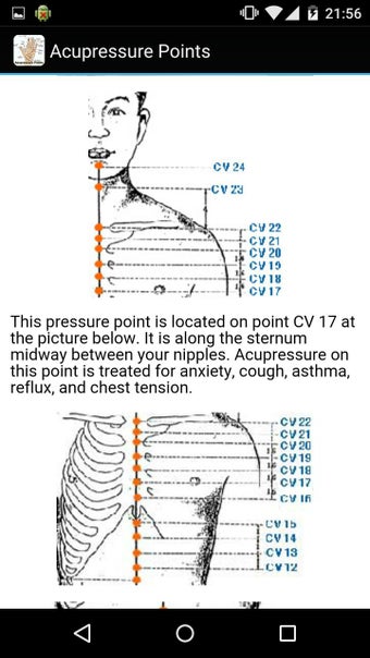 Imagen 5 para Acupressure Points